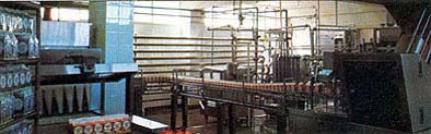 KAROUN CHEESE PLANT